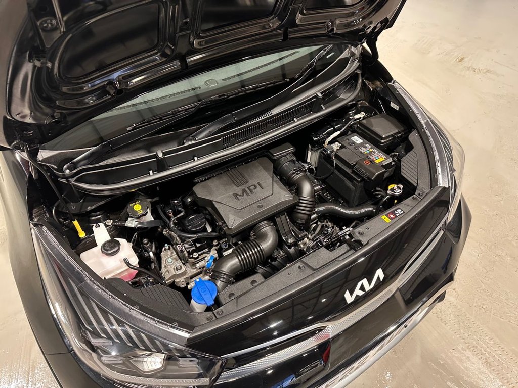 Used Kia Picanto 2022 for sale - 76642651: Photo 43