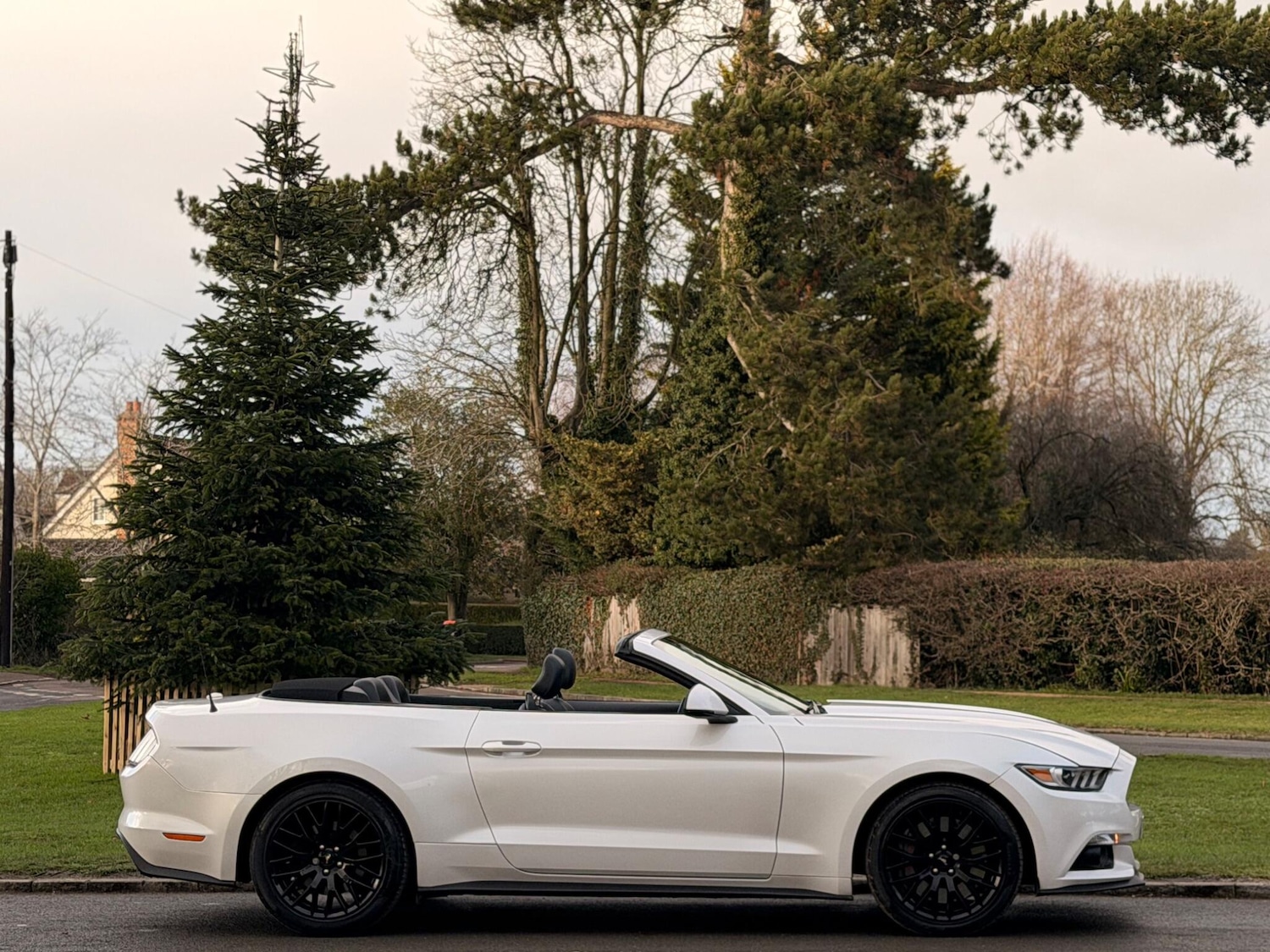 Used Ford Mustang 2017 for sale - 77131188: Photo 10