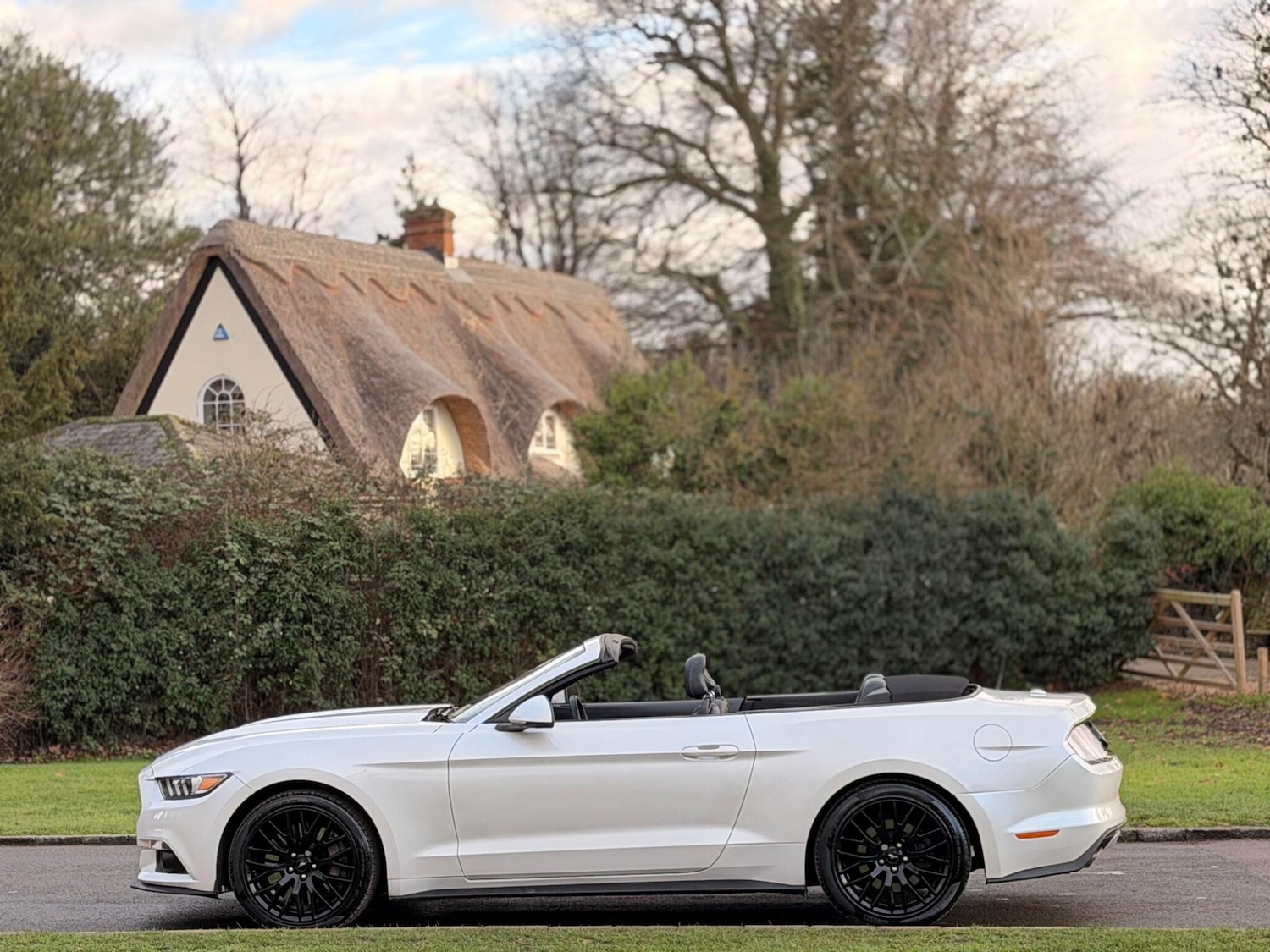 Used Ford Mustang 2017 for sale - 77131188: Photo 12