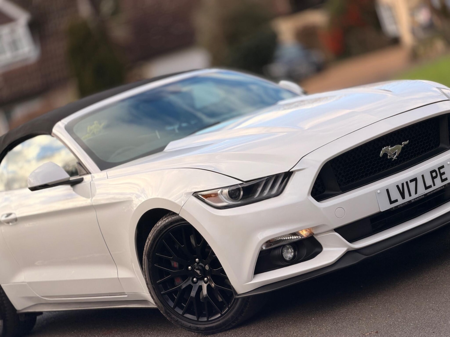 Used Ford Mustang 2017 for sale - 77131188: Photo 17