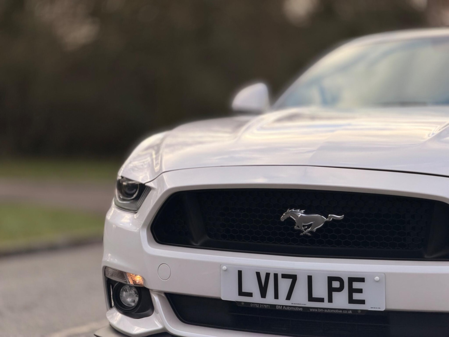 Used Ford Mustang 2017 for sale - 77131188: Photo 19