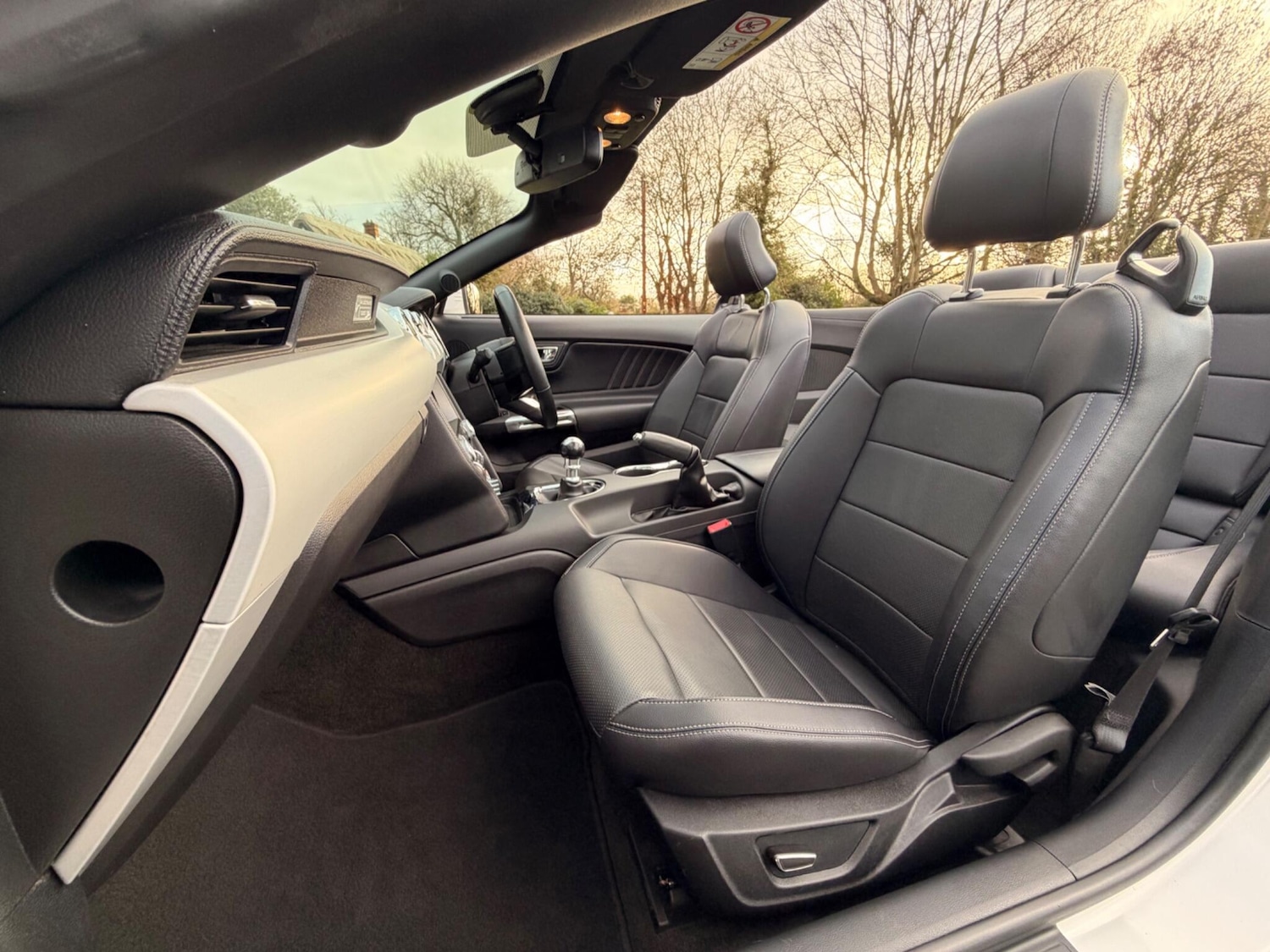 Used Ford Mustang 2017 for sale - 77131188: Photo 28