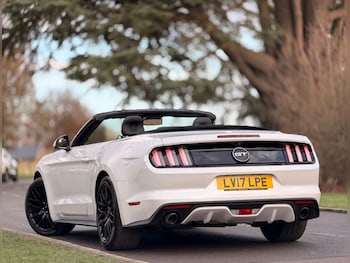 Used Ford Mustang 2017 for sale - 77131188: Photo