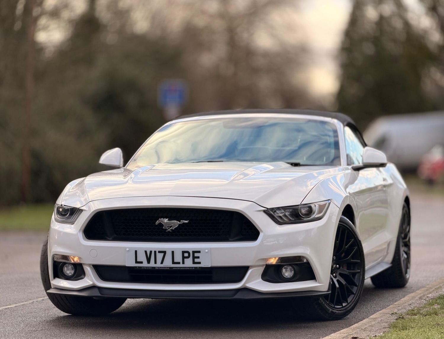 Used Ford Mustang 2017 for sale - 77131188: Photo 5