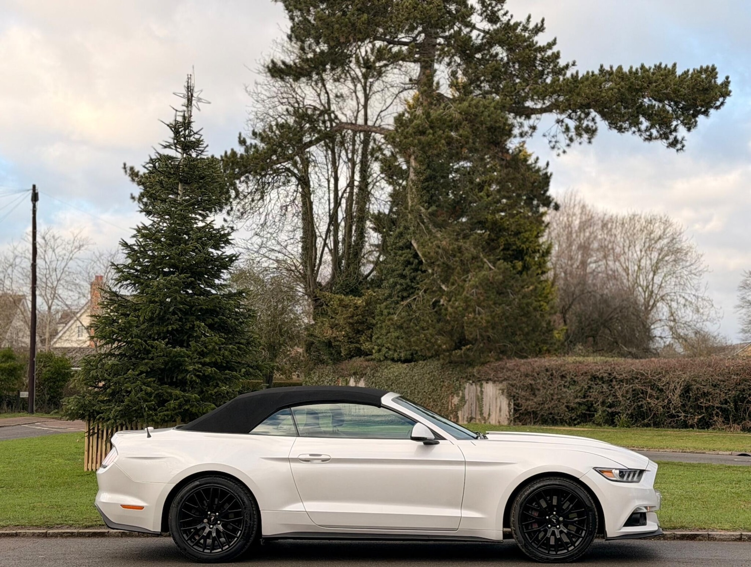 Used Ford Mustang 2017 for sale - 77131188: Photo 9