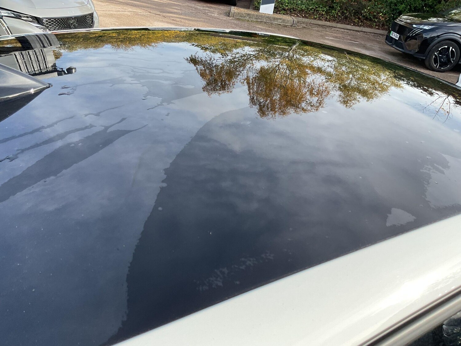 Used Peugeot 208 2025 for sale - 77683859: Photo 14