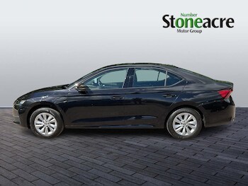 Used Skoda Octavia 2024 for sale - 78448541: Photo