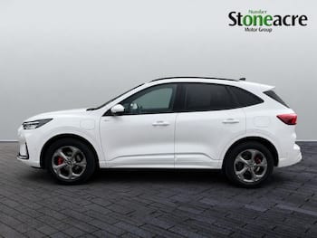 Used Ford Kuga 2024 for sale - 79846788: Photo