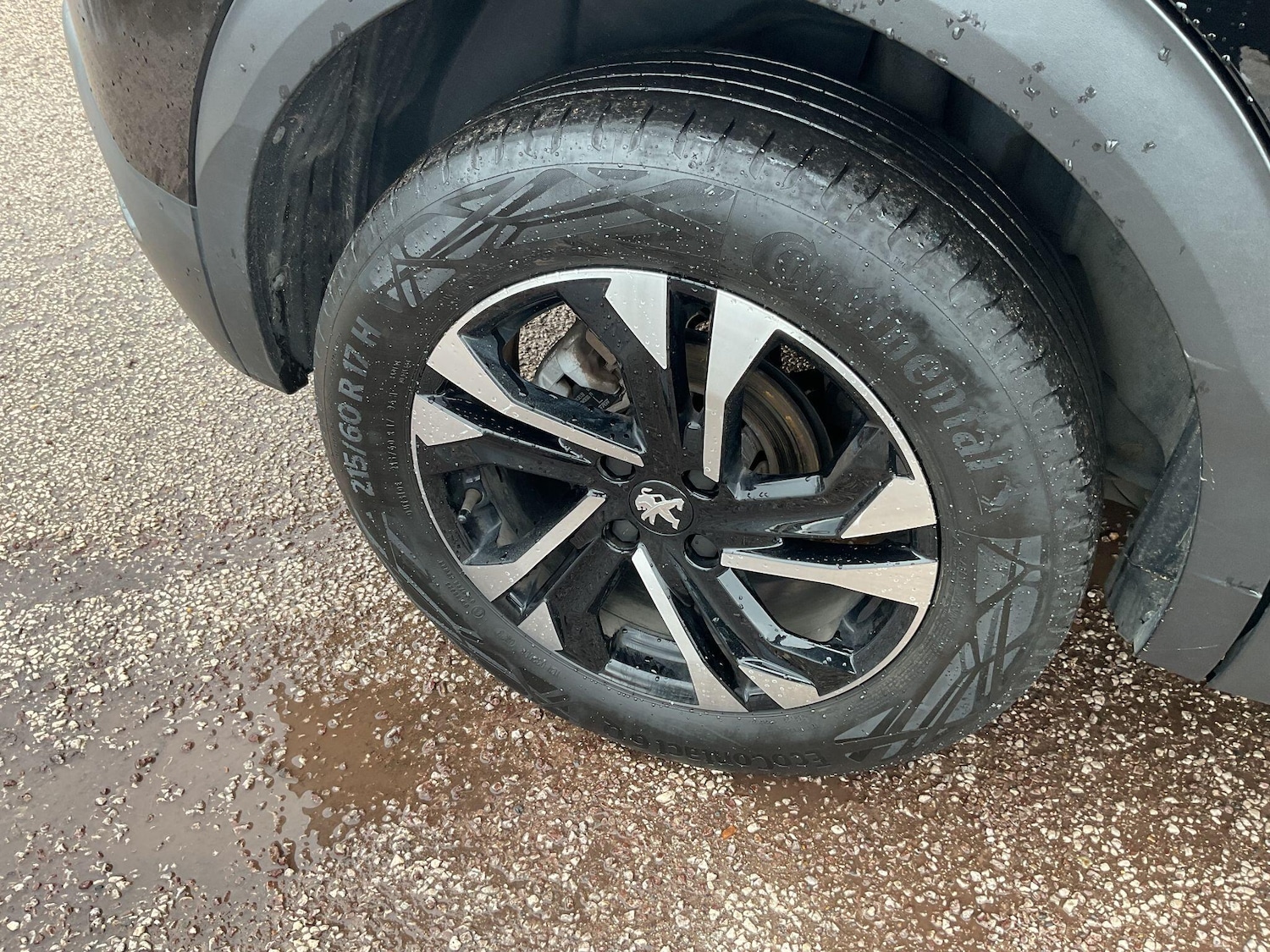 Used Peugeot 2008 2023 for sale - 77723047: Photo 9