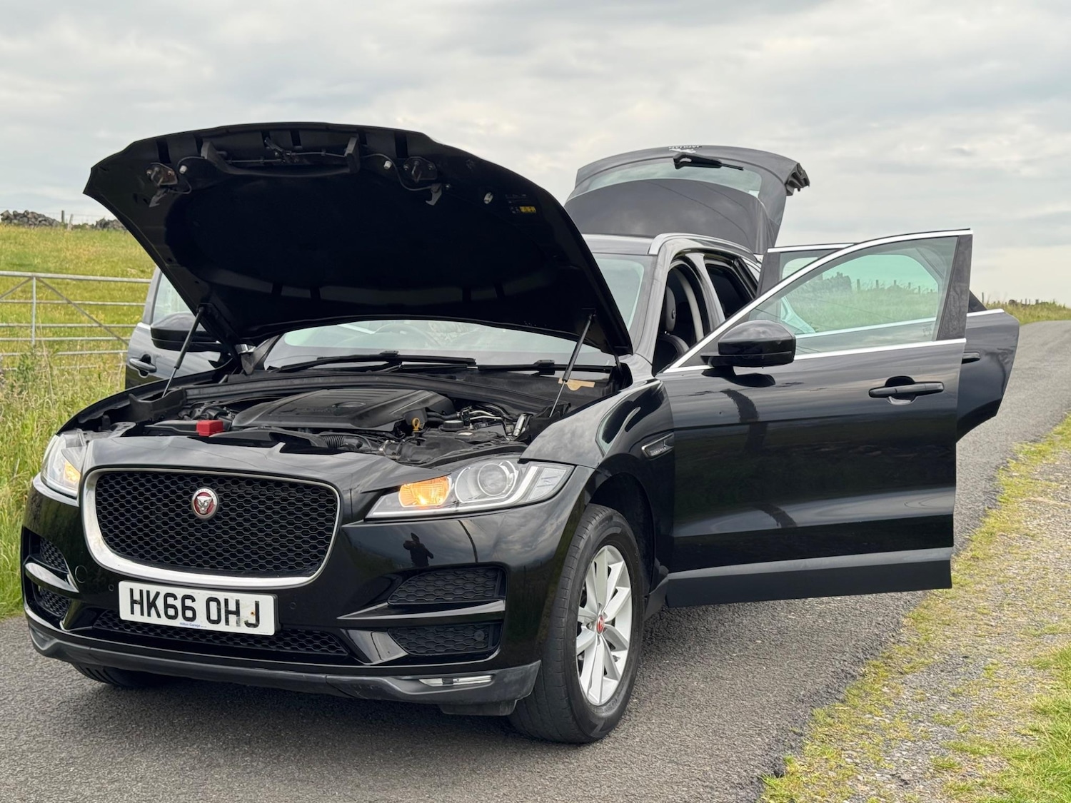 Used Jaguar F-Pace 2016 for sale - 77599141: Photo 12