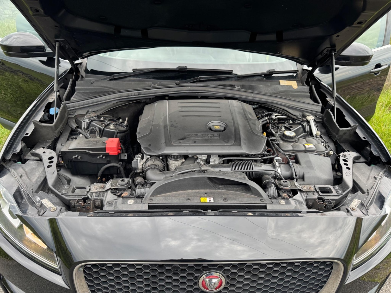 Used Jaguar F-Pace 2016 for sale - 77599141: Photo 45