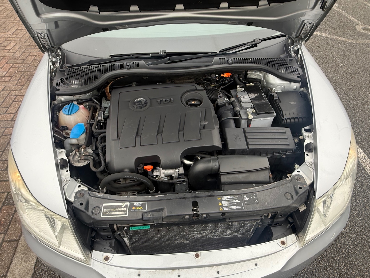 Used Skoda Octavia 2009 for sale - 77637091: Photo 18