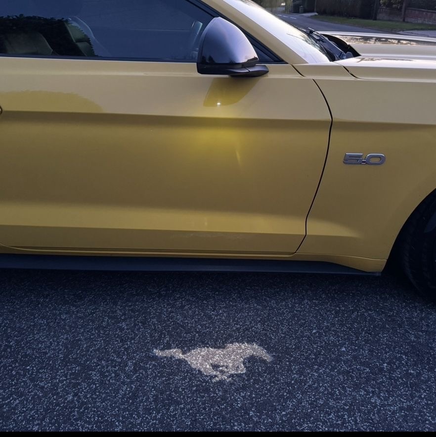 Used Ford Mustang 2018 for sale - 78052608: Photo 11