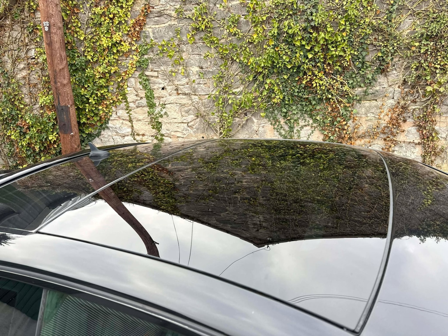 Used Audi A5 2008 for sale - 77095757: Photo 11