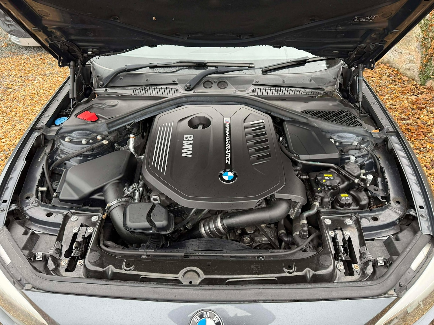 Used BMW 1 Series 2019 for sale - 76855335: Photo 3