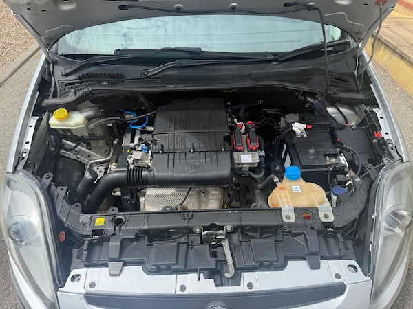 Used Fiat Punto Evo 2011 for sale - 75168688: Photo 11