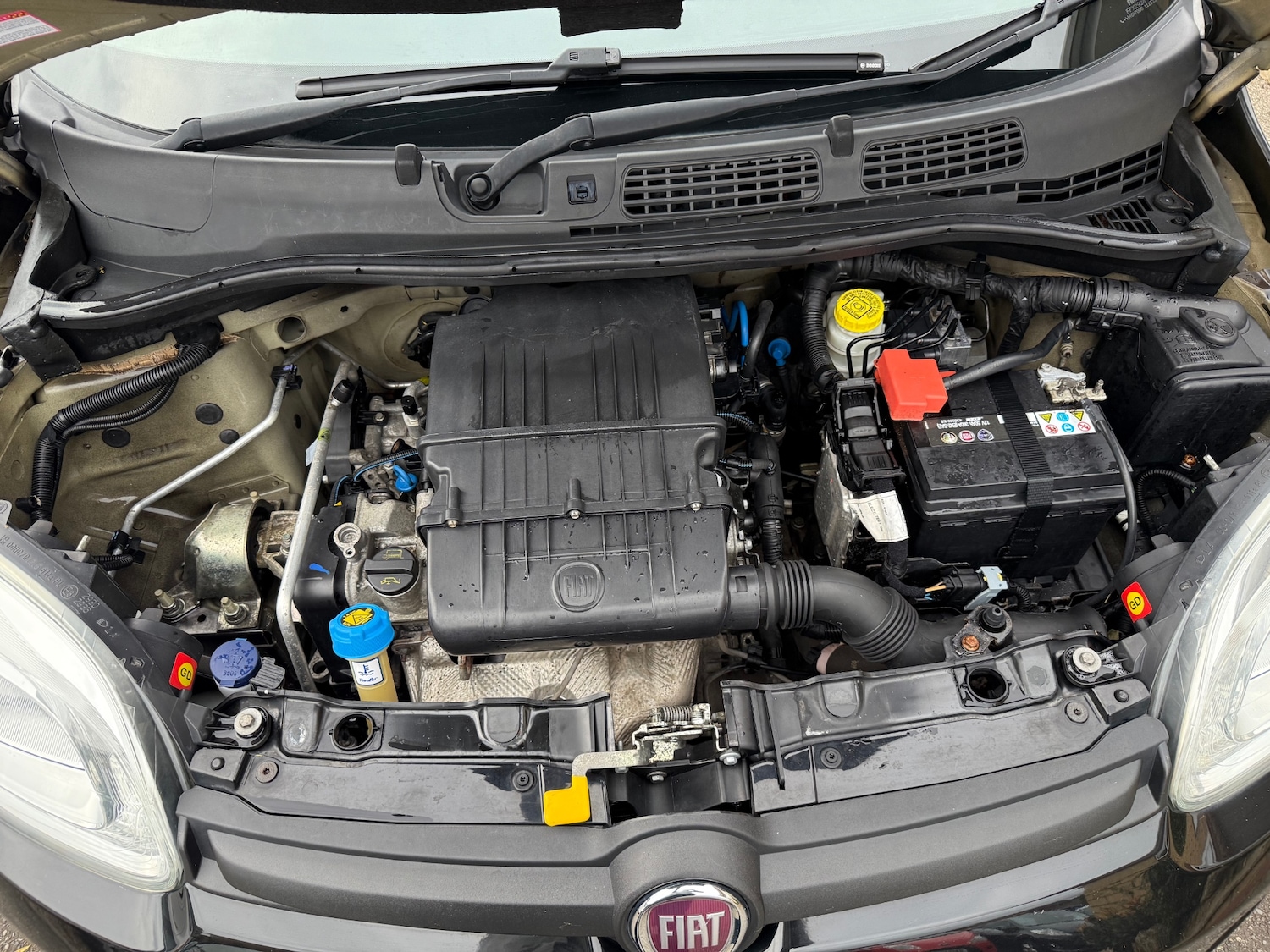 Used Fiat Panda 2016 for sale - 76289661: Photo 11
