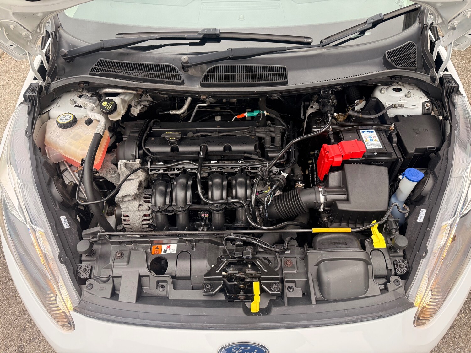 Used Ford Fiesta 2016 for sale - 77848314: Photo 11