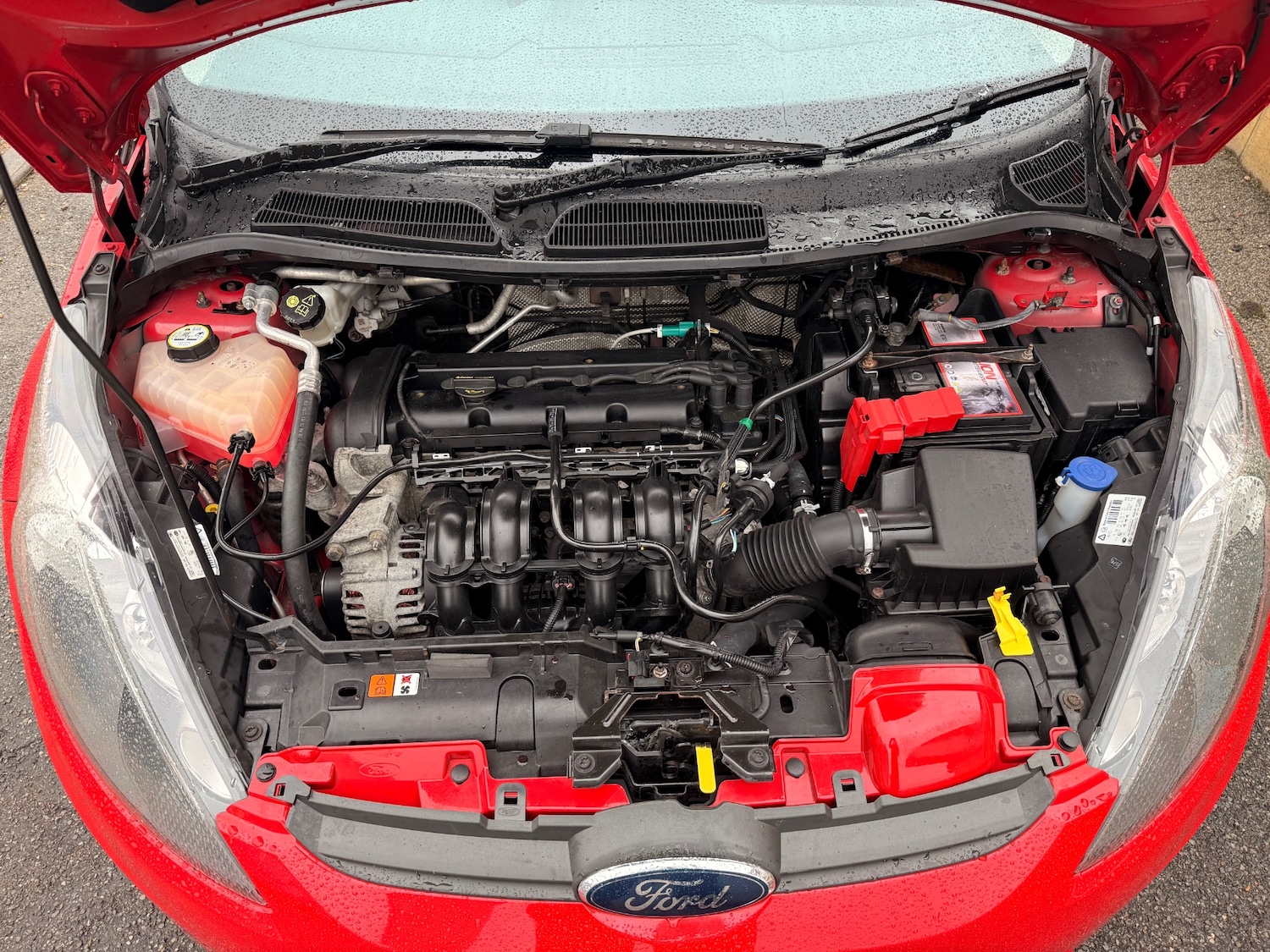 Used Ford Fiesta 2010 for sale - 77475566: Photo 11