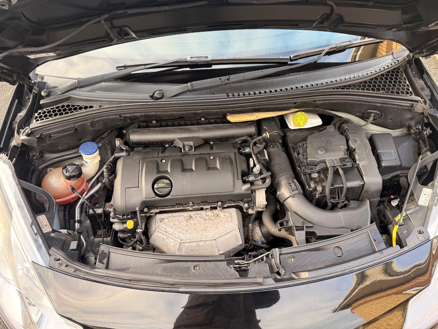 Used Citroen DS3 2013 for sale - 77223343: Photo 11