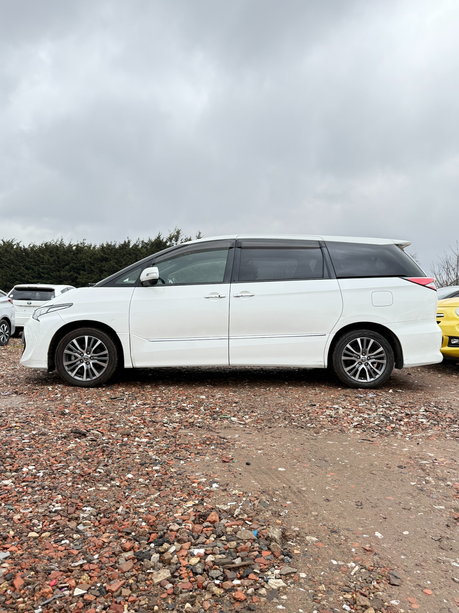 Used Toyota Estima 2026 for sale - 77336679: Photo 5