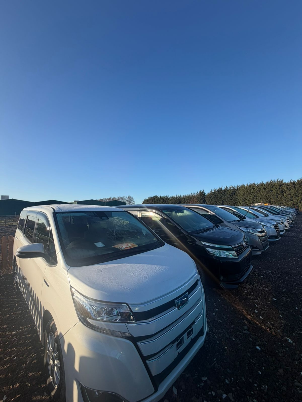 Used Nissan Serena 2013 for sale - 77100573: Photo 10