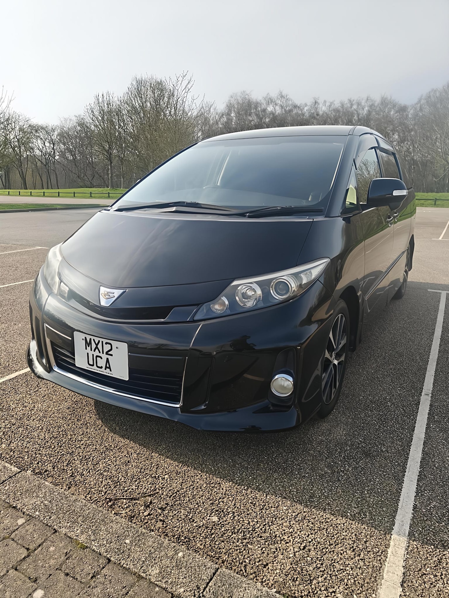 Used Toyota Estima 2012 for sale - 78185813: Photo 34