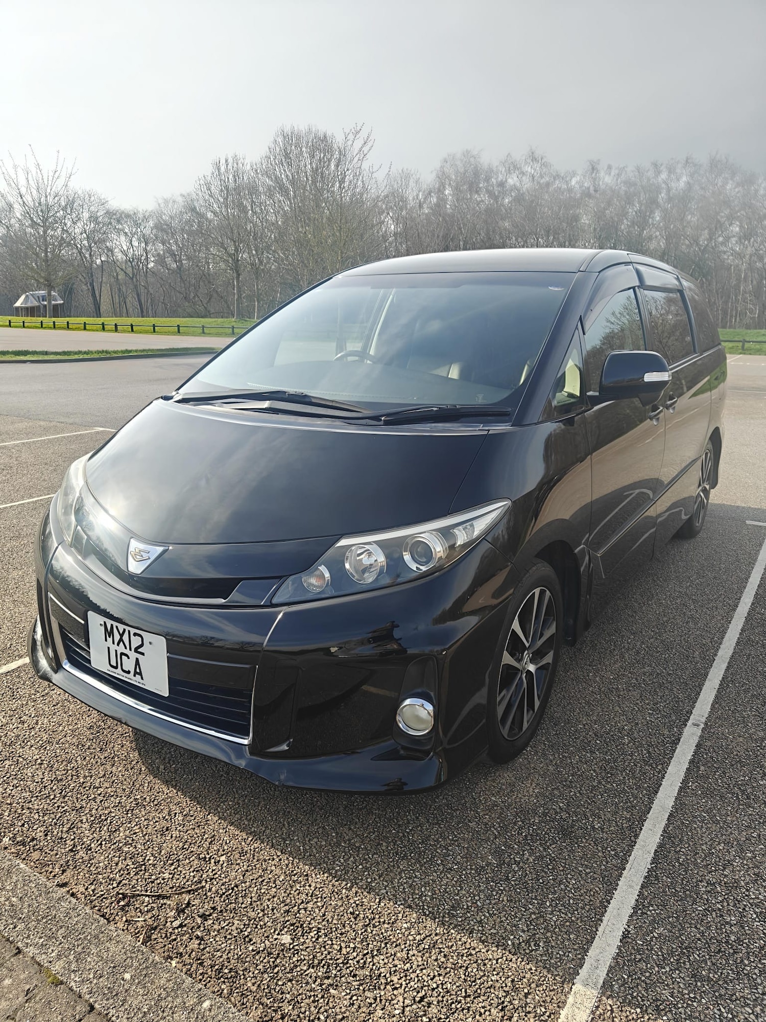 Used Toyota Estima 2012 for sale - 78185813: Photo 36