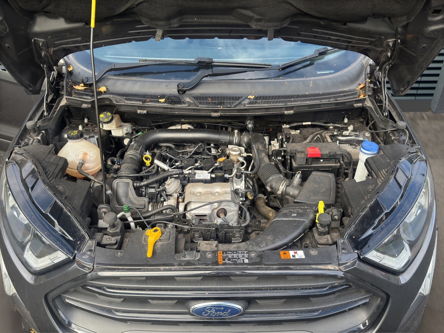 Used Ford Ecosport 2019 for sale - 76527426: Photo 15