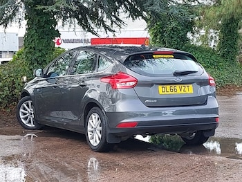 Used Ford Focus 2016 for sale - 76566899: Photo