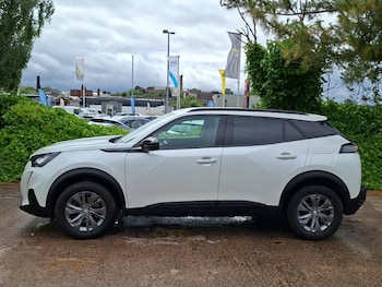 Used Peugeot 2008 2023 for sale - 78928539: Photo