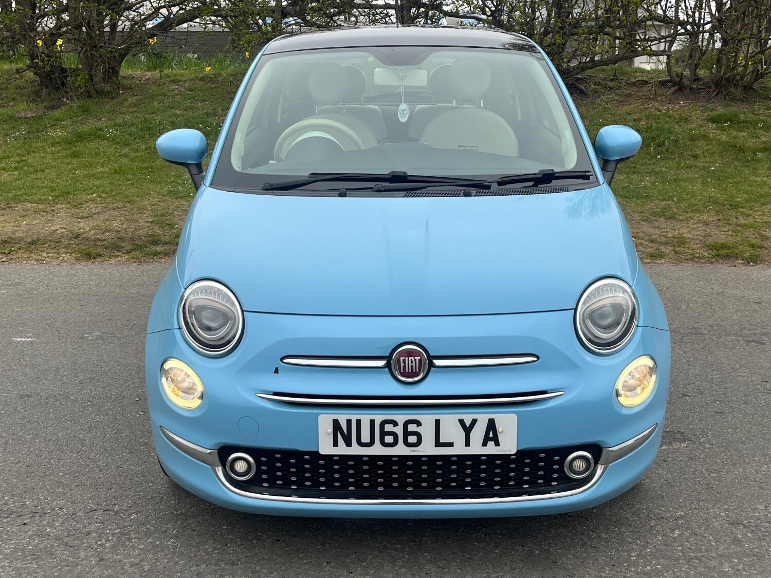 Used Fiat 500 2016 for sale - 76769242: Photo 3