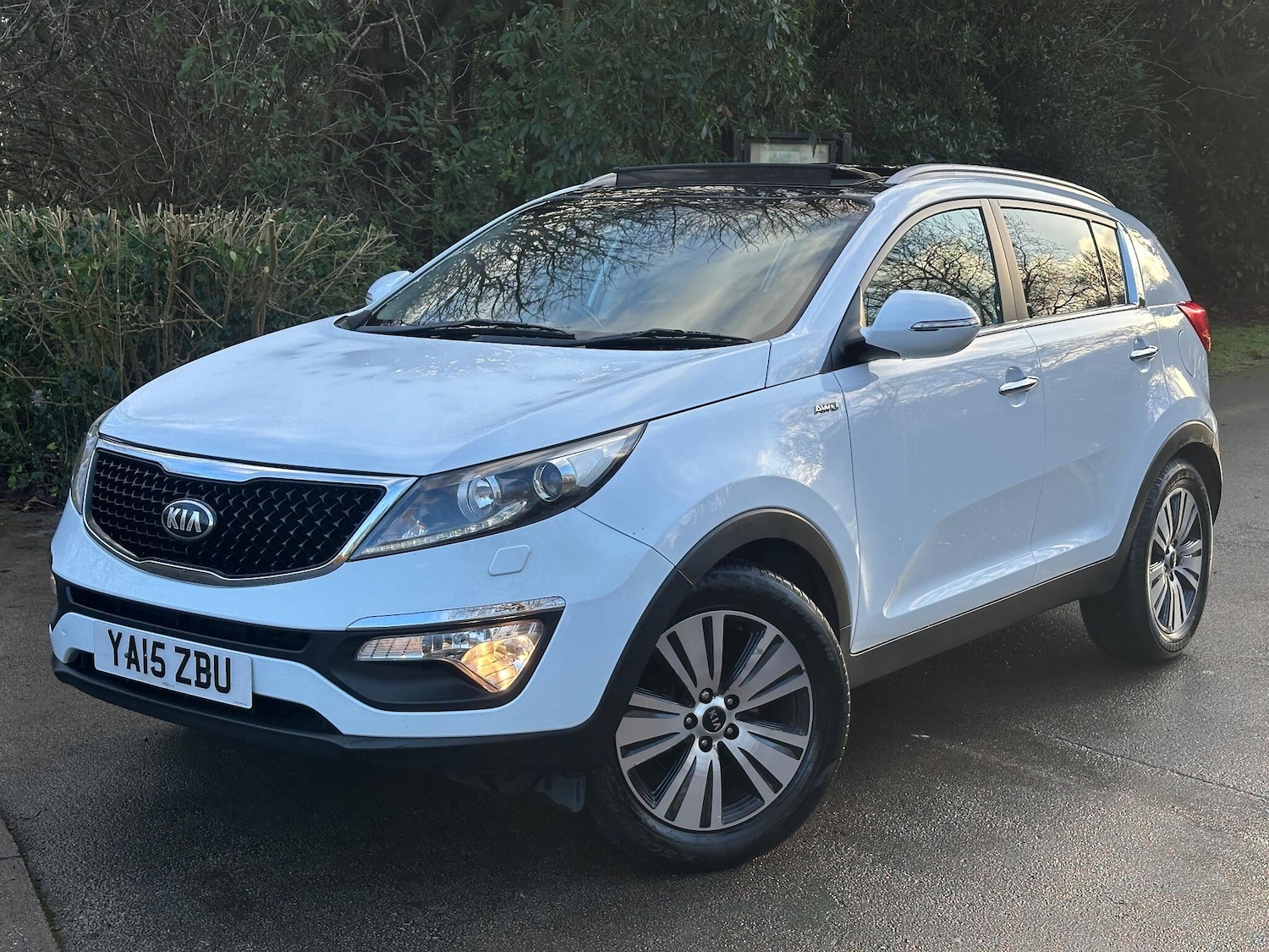 Used Kia Sportage for sale - 77016027: Photo 15