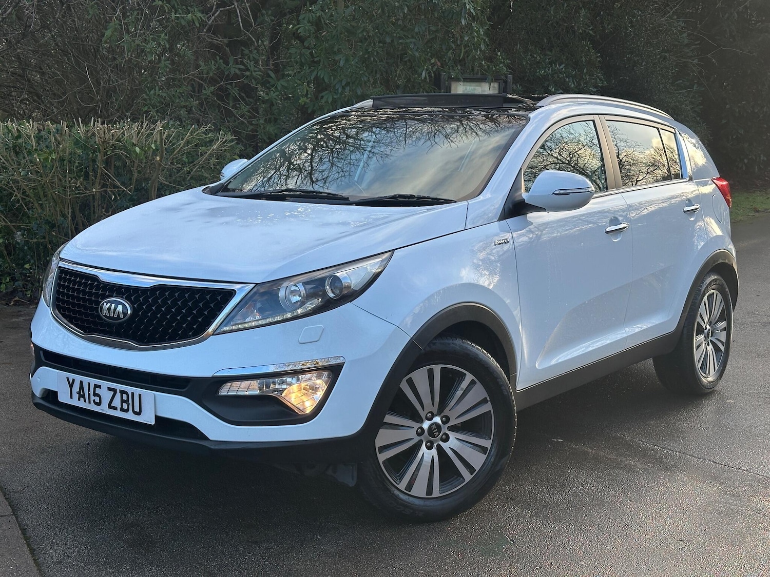 Used Kia Sportage for sale - 77016027: Photo 16