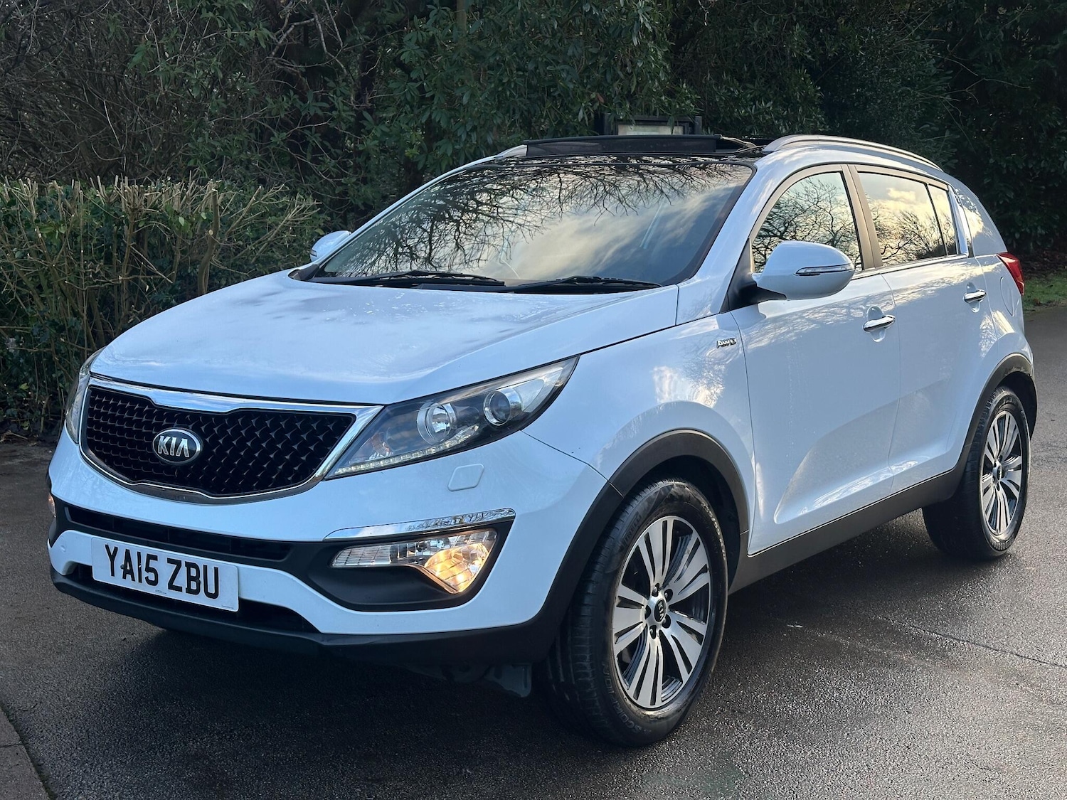 Used Kia Sportage for sale - 77016027: Photo 29
