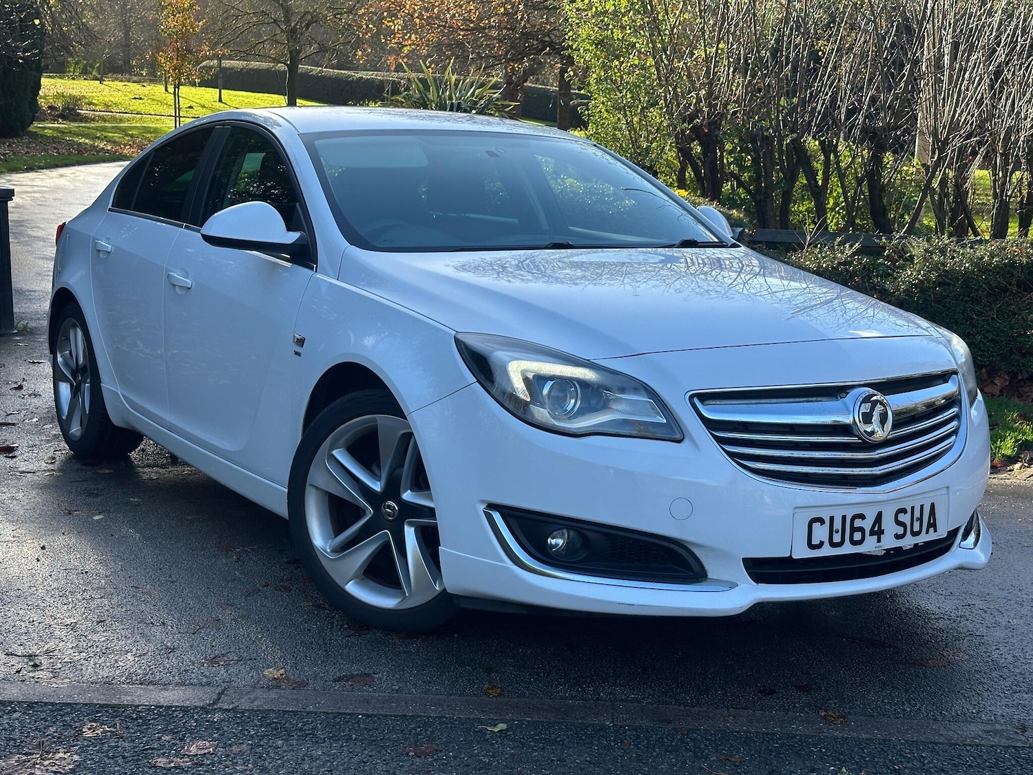 Used Vauxhall Insignia 2014 for sale - 76573117: Photo 1