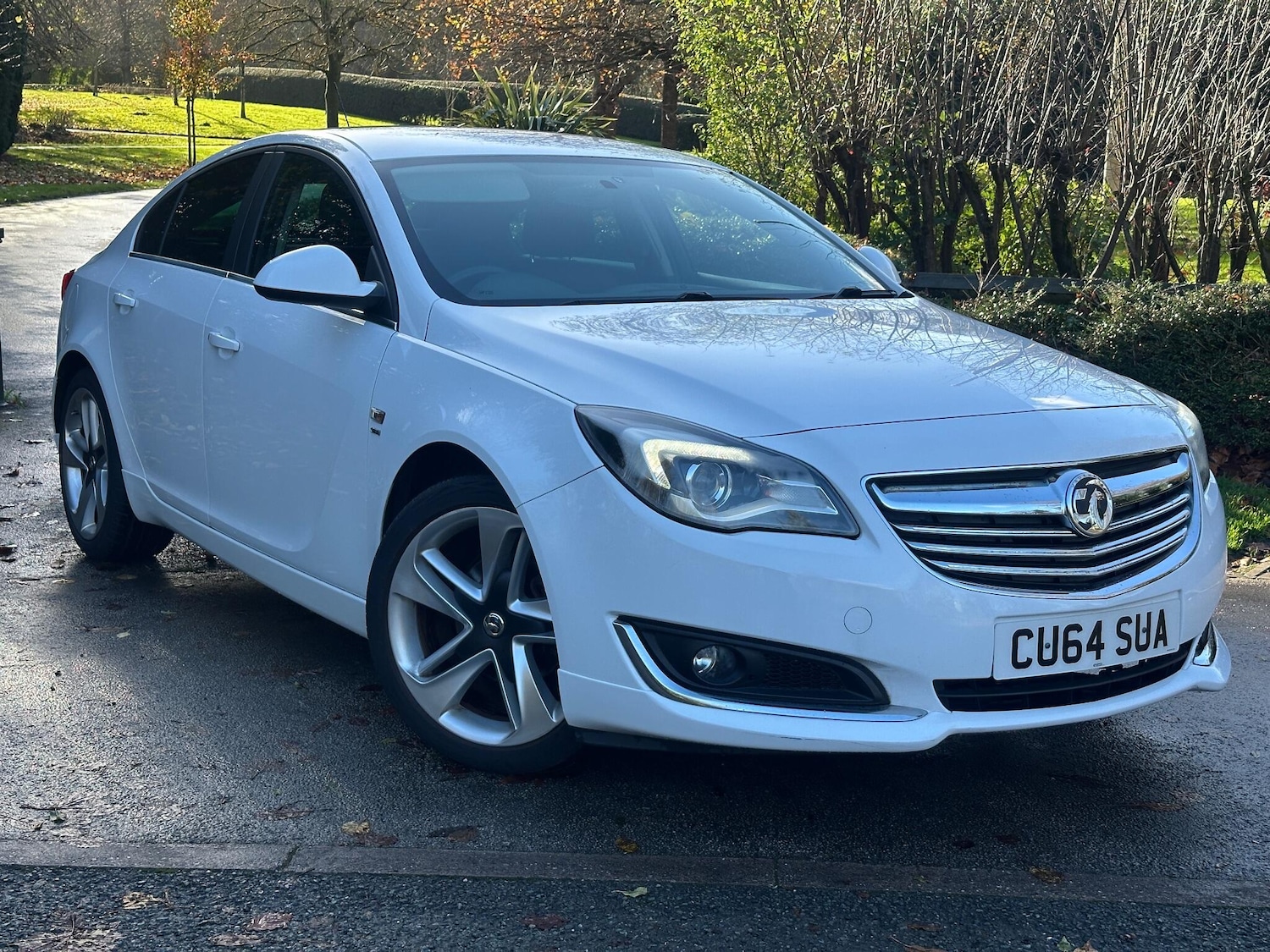Used Vauxhall Insignia 2014 for sale - 76573117: Photo 2