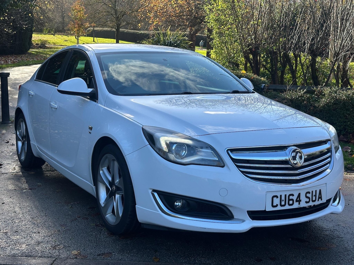 Used Vauxhall Insignia 2014 for sale - 76573117: Photo 23