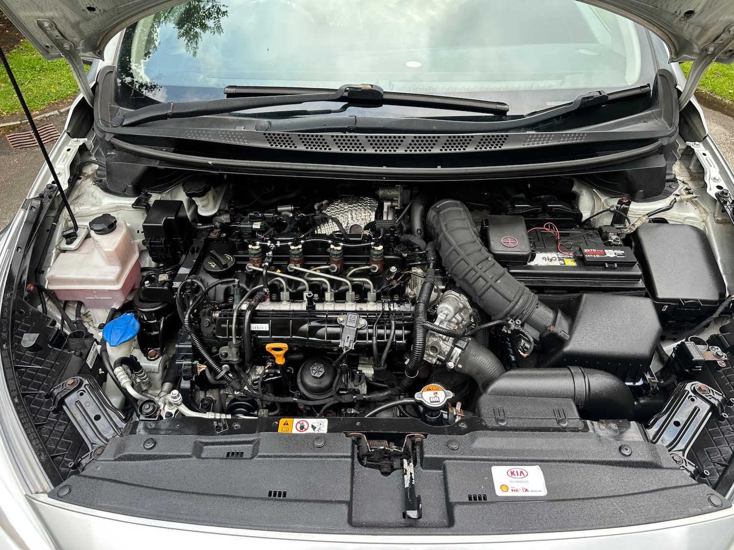 Used Kia Ceed 2016 for sale - 76997369: Photo 13