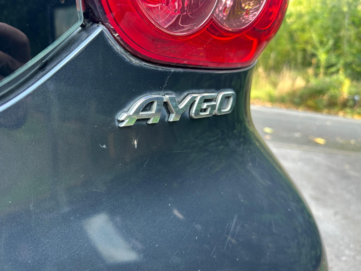 Vehicle 42