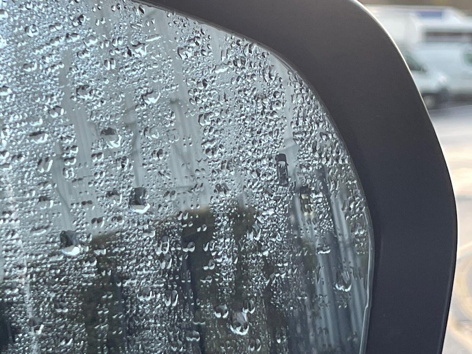 Used Ssangyong Musso 2021 for sale - 76946995: Photo 41