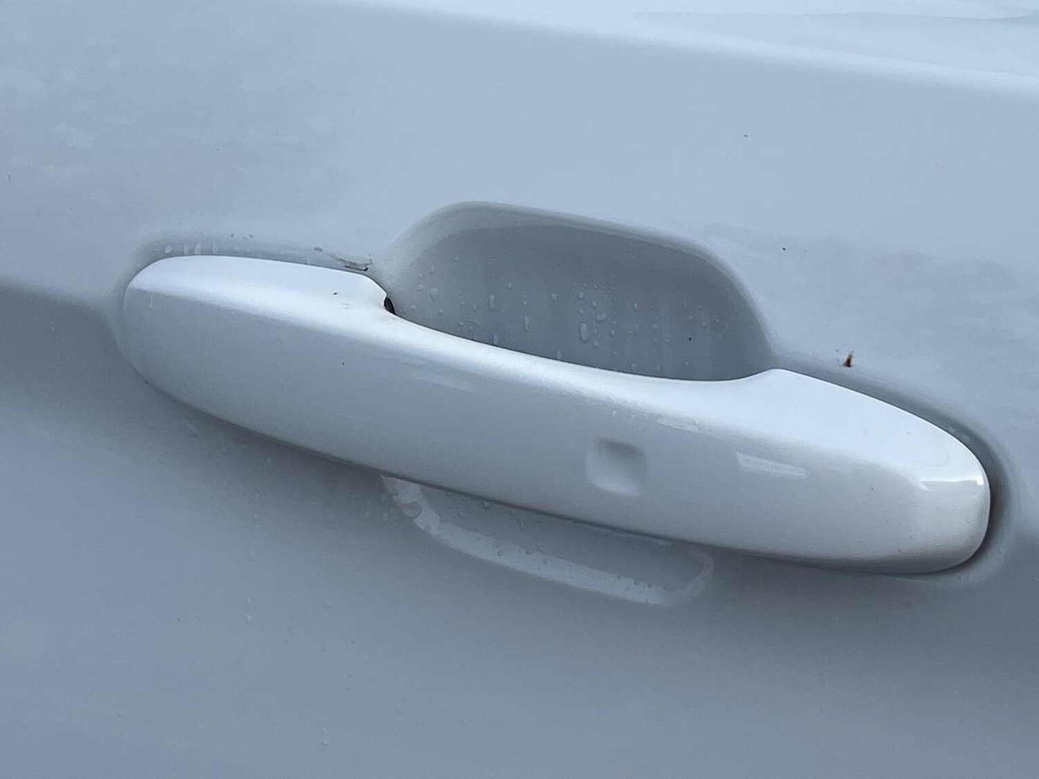 Used Ford Transit Custom 2024 for sale - 76877960: Photo 24