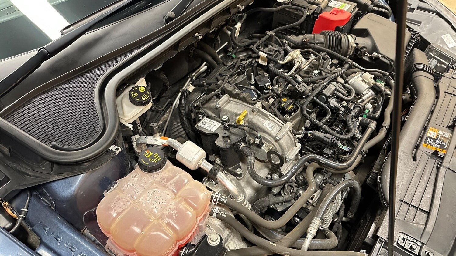 Used Ford Focus 2021 for sale - 76246665: Photo 21