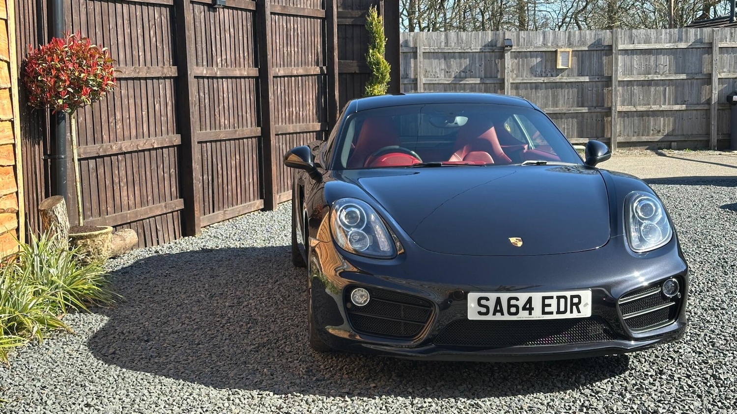 Used Porsche Cayman 2014 for sale - 77524226: Photo 10