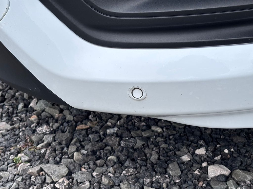 Used Ford Transit Custom 2020 for sale - 78097094: Photo 29