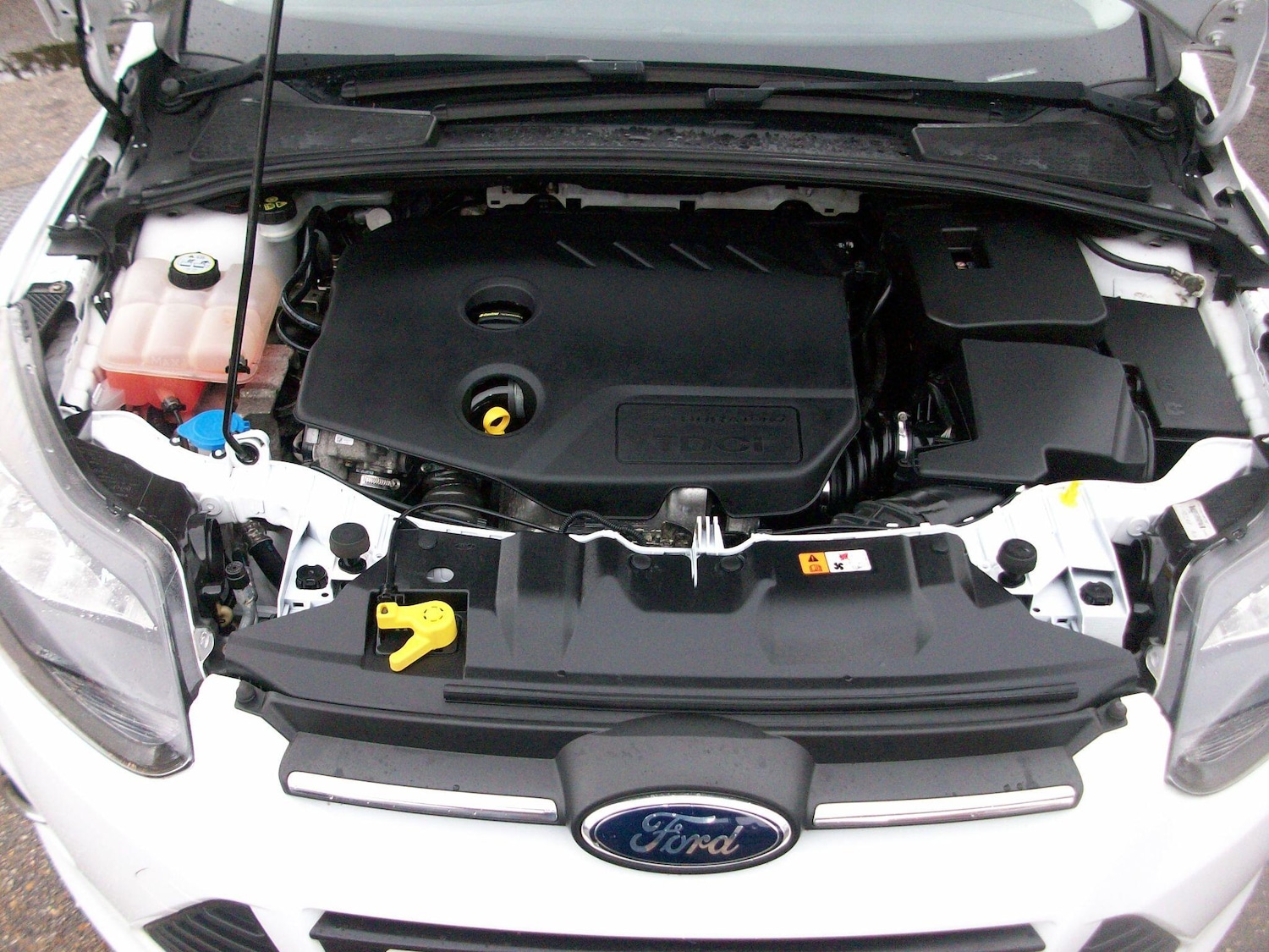 Used Ford Focus 2014 for sale - 77852889: Photo 13