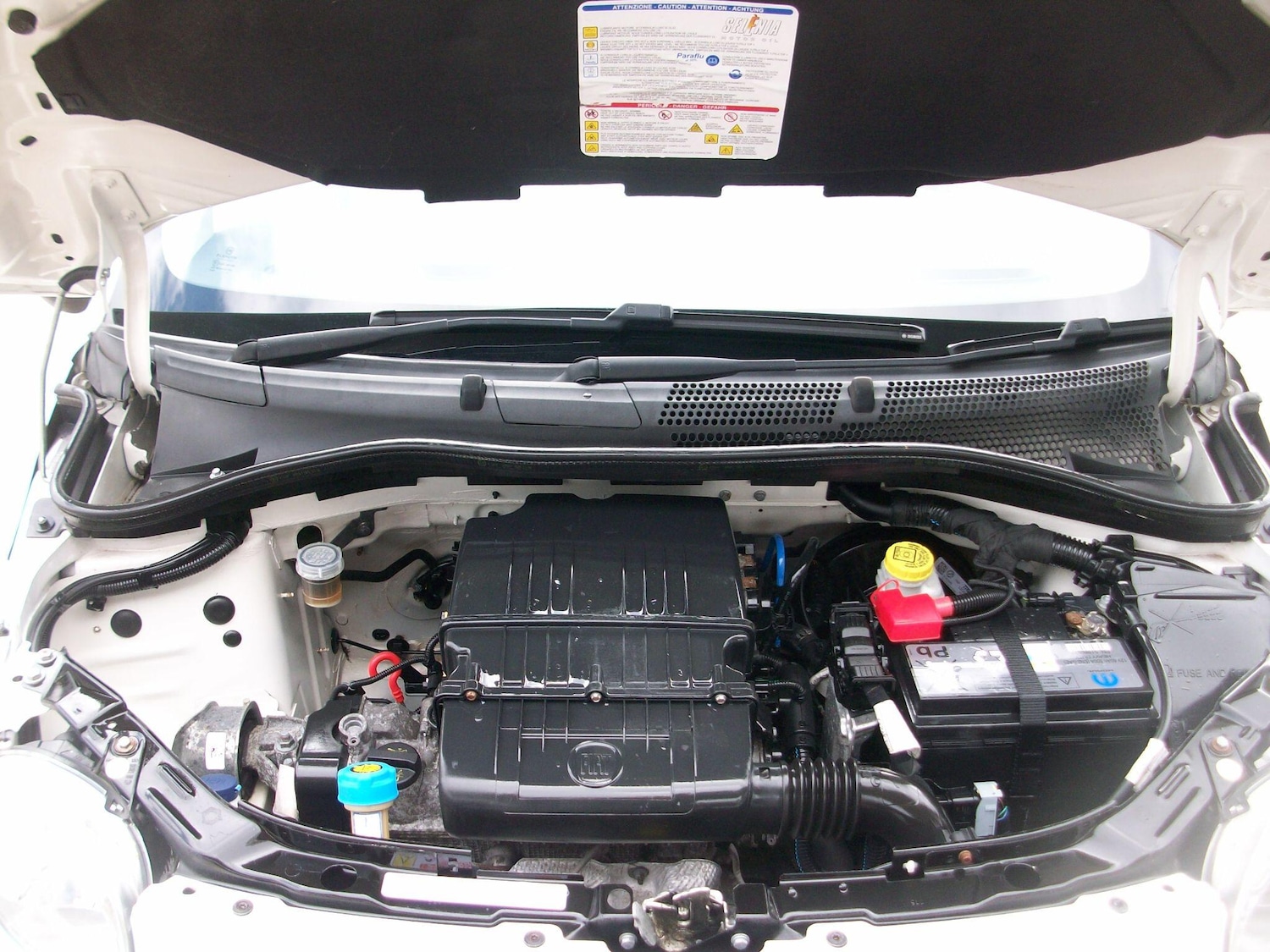 Used Fiat 500 for sale - 78115841: Photo 14