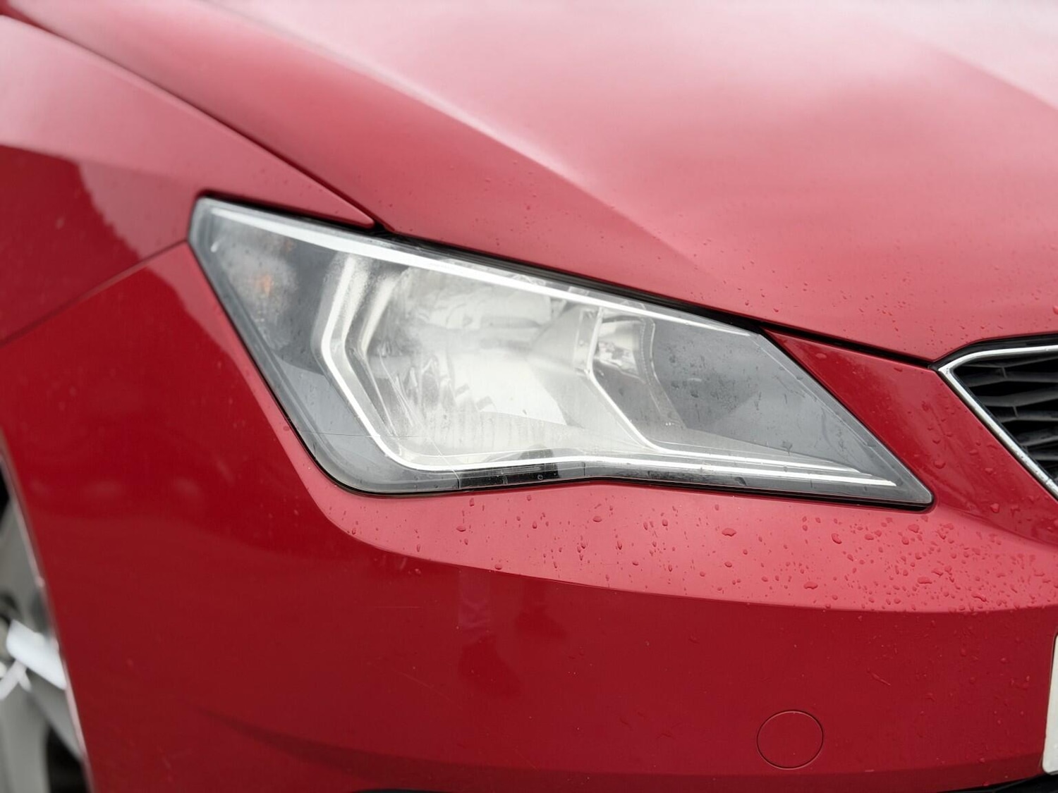 Used SEAT Ibiza 2013 for sale - 77067042: Photo 2