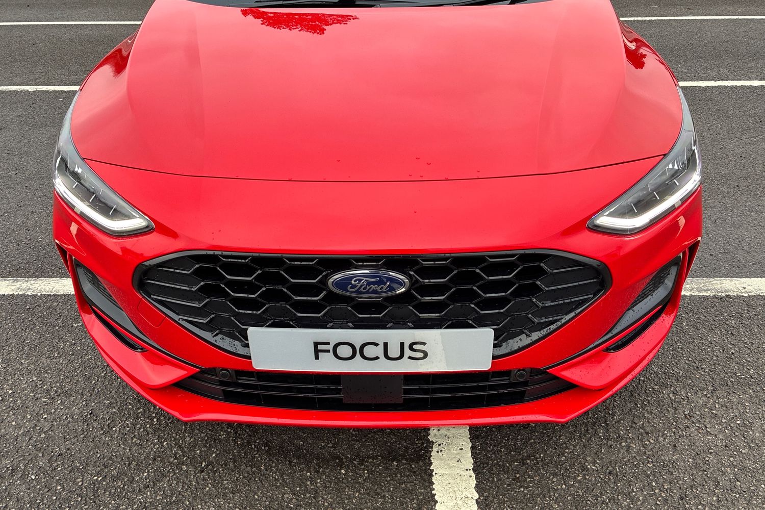 Used Ford Focus 2025 for sale - 77118449: Photo 12