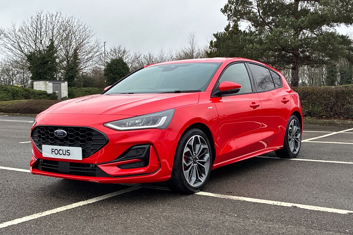 Used Ford Focus 2025 for sale - 77118449: Photo 15